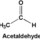 What Are Congeners?