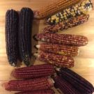 The New Relationship Between Farmer and Distiller