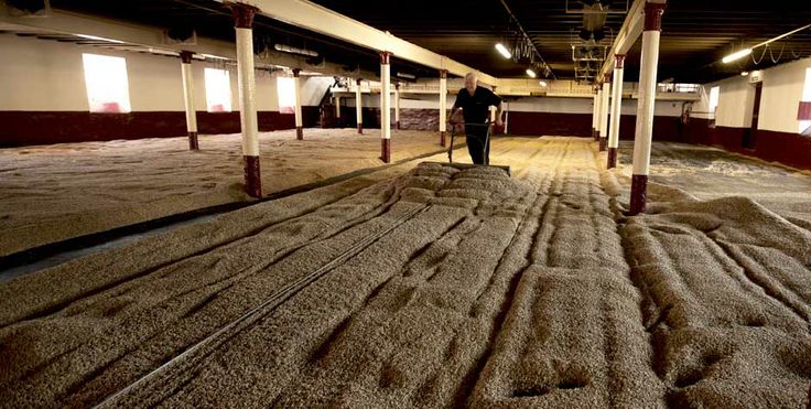 the malting floor for the Balvenie 