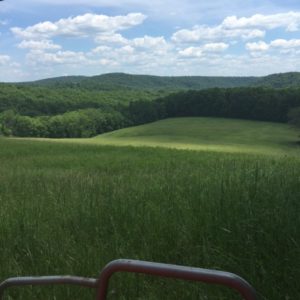 These rolling hills are where the farm will grow grains used to make whiskey at Ridge Runner.