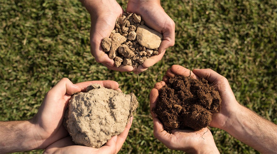 Does Terroir Influence Whiskey?